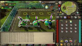 OSRS Tithe Farm Best Method - Iron Man/Main friendly