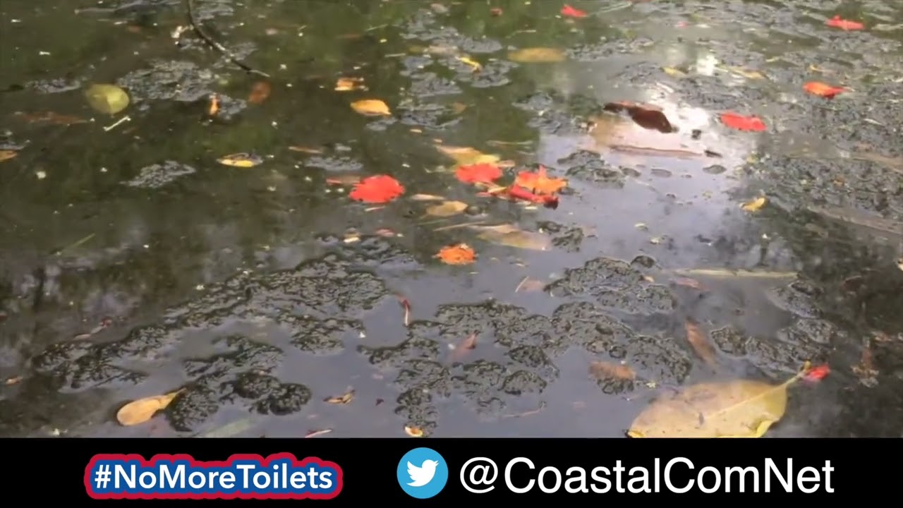 Himmarshee Creek Update - Fort Lauderdale