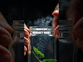 Tiny Glass Terrarium: Crafting Living Art and Eco Skills