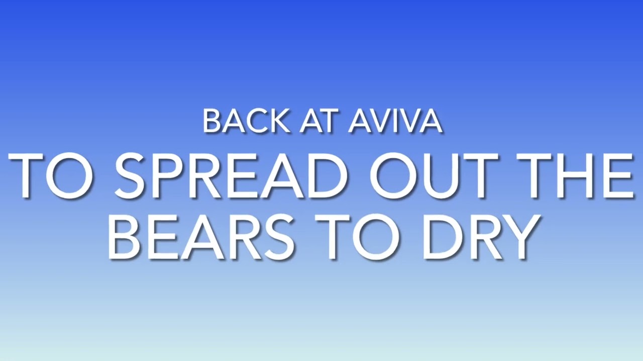 2021 Tucson Roadrunner’s Teddy Bear Toss for Aviva cCildren's Services