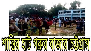 গরুর বাজারে ঘুরতে গেলাম।।