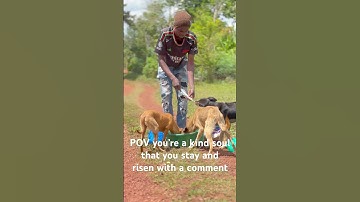 Please don’t scroll without staying for 38s and comment random words to boost this video