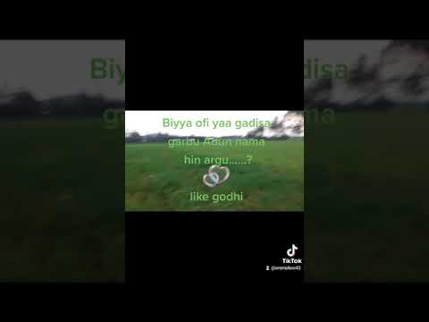 Oromiya Jitu Badhatu Biyya Koo Mee Ilala Like