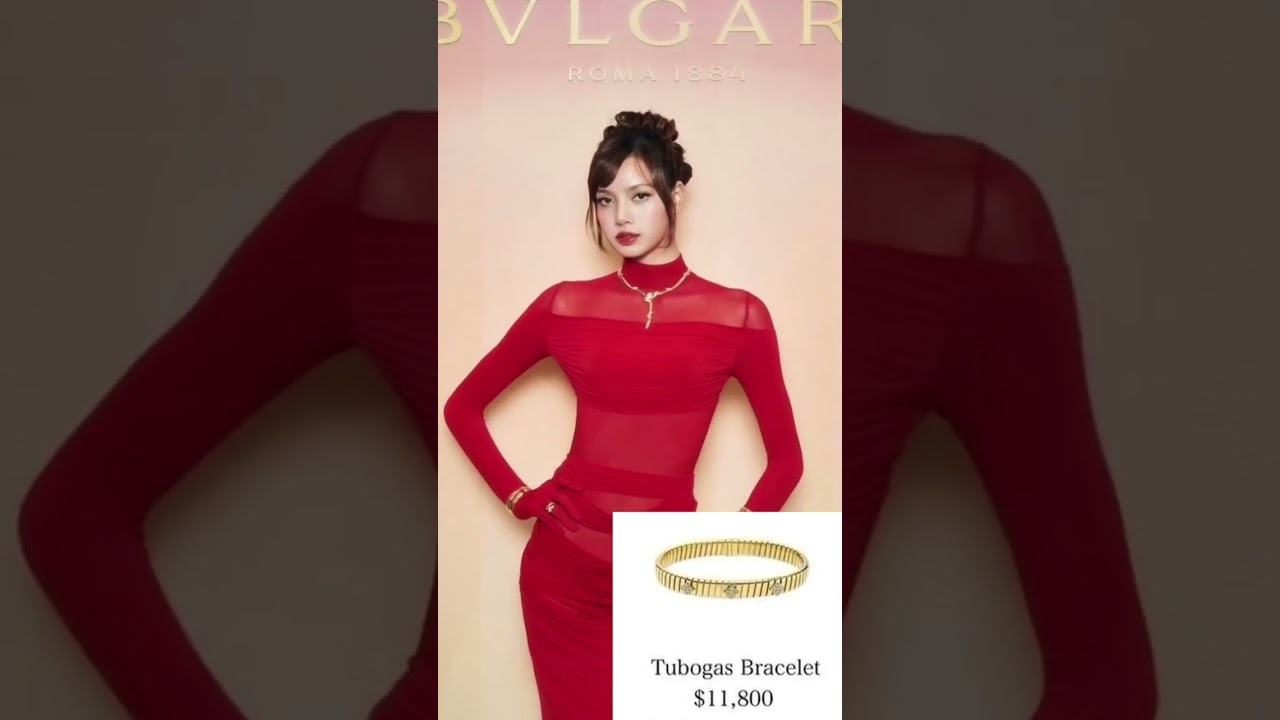 Lisa’s outfit price 