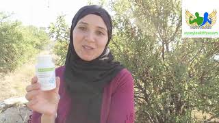 Herbalife xtra-cal nedir? Ne işe yarar. Gerçekten işe yarıyor mu?