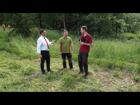 Sparkasse Koblenz fördert Klimawald-Projekt im Stadtwald Koblenz: Erste Ergebnisse