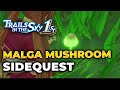 Trails in the Sky 1st Chapter – Malga Mushroom Guide - Sidequest - 100% Full Walkthrough