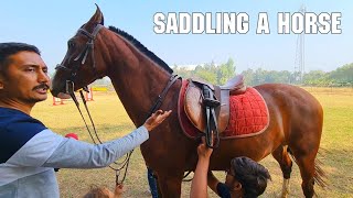 How to Saddle a Horse  By P.P Savani Horse Riding School, Surat