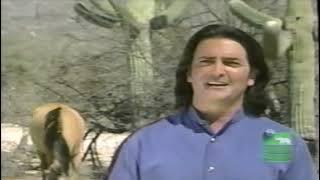 Spirit of the Wild Mustang: Spirit Stallion of the Cimarron Animal Planet Showcase