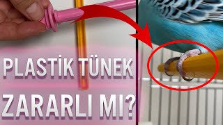 Plastik Tünek Zararlı Mı? Muhabbet Kuşları Için Doğru Tünek Seçimi Nasıl Olmalı