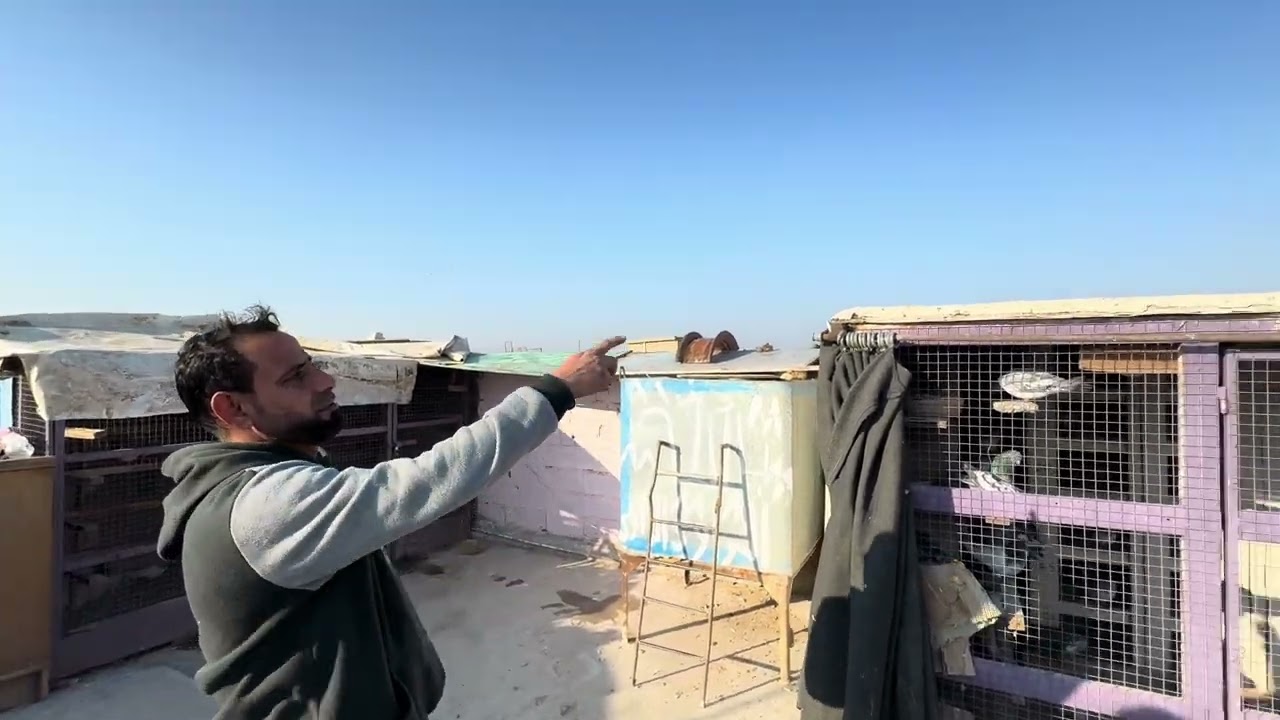 مطيار مخاليف