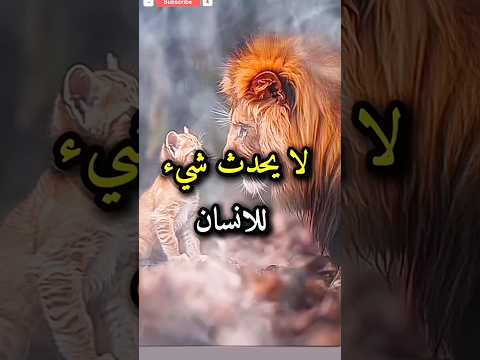 لا يحدث شئ للانسان الا وقد منحه الله القدرة على تحمله حكم اقوال اقتباسات خواطر Shorts