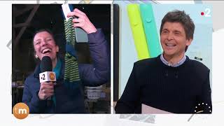 La Tonte Des Chèvres Angora Dans Le Haut-Corlay Télématin - Fenêtre Sur Les Régions - France 2
