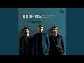 Clarinet Trio In A Minor Op 114 I Allegro Mp3 Mp4 Free download