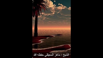 سورة العنكبوت.... الآيات ( ١ _ ١٣)