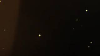 Bizi Kimse Ayıramaz