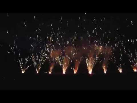 Angry Bees fireworks