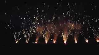 Angry Bees fireworks
