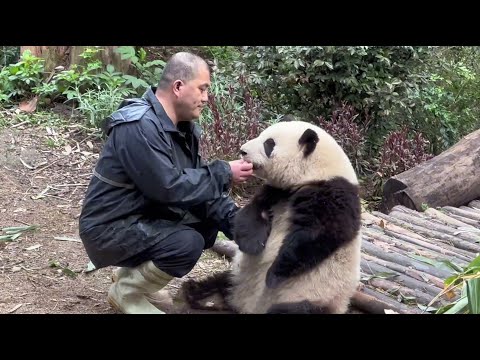 3.23 花花的下午茶 谭爷爷蹲下喂宝宝