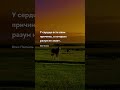 Свои причины Цитаты о любви #любовь #люблю #семья #счастье #будущее #цитаты #пословицы #жизнь #тост