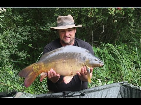 Pêche de la carpe en rivière sauvage avec Carpecanal