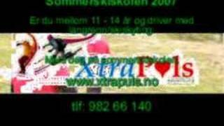 Halti Camp 2007