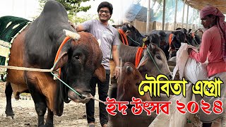 ছোট বড় ১০০ টি সেরা দেশাল ও শাহিওয়াল কোরবানির গরু দেখুন। নৌবিতা এগ্রো ইদ উৎসব ২০২৪।