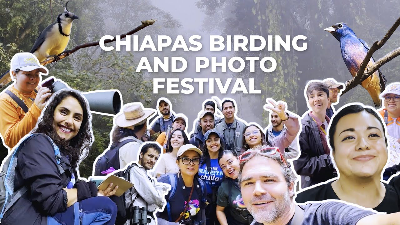 Estuvimos en el Chiapas Birding and Photo Festival