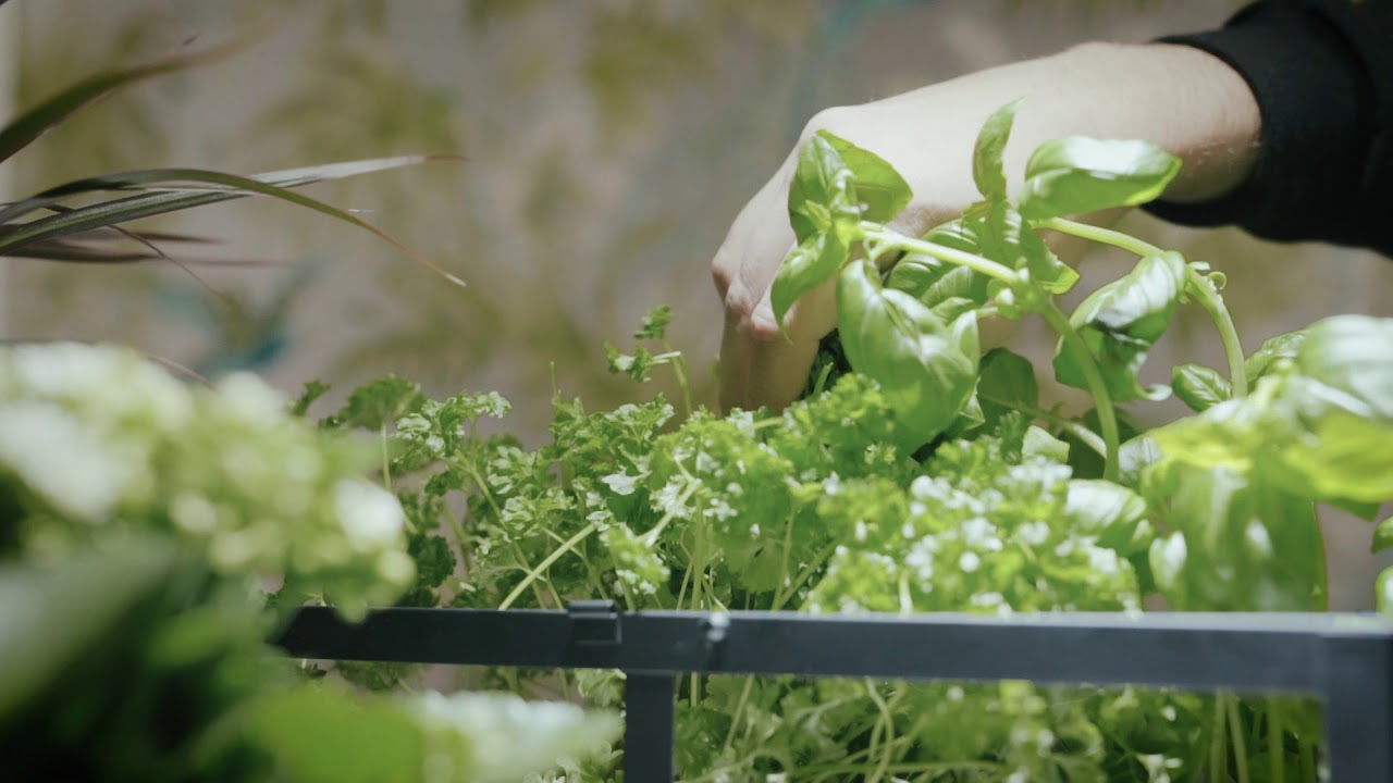 Airam Fiora kasvivalaisin