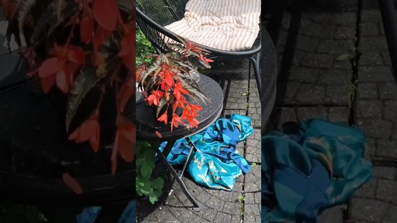 Garden Vlog and Mindfull Living
