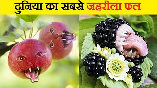 दुनिया के सबसे जहरीले फल | Most Poisonous Fruits in the World | Wildlife Facts in Hindi