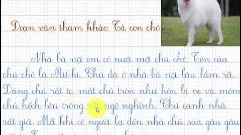 TẬP LÀM VĂN LỚP 2 TẢ NGẮN CON VẬT NUÔI MÀ EM THÍCH