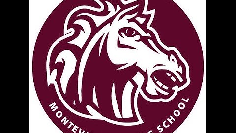 Standards Based Grading & Mastery Connect Parent Meeting