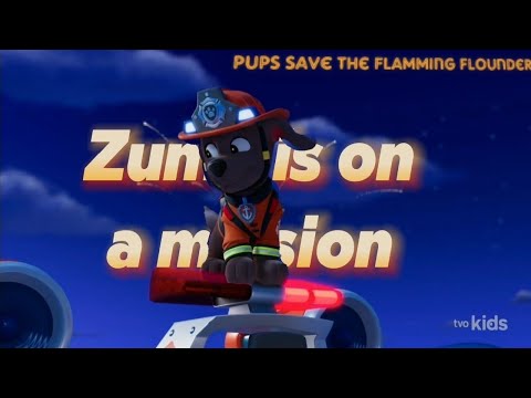 Paw patrol 🐾| Pups save the flamming🔥 flounder Zuma is on a mission💧(Fire rescue)