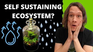 Self Sustaining Ecosystem In A Jar | Part 1