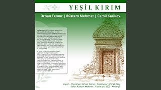 Seyit Osman Saray Saldırgan