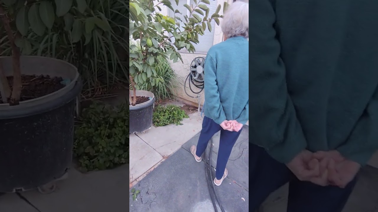 Visiting my 80yr old Mom's garden