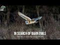 In Search Of Barn Owls (North Cave Wetlands)