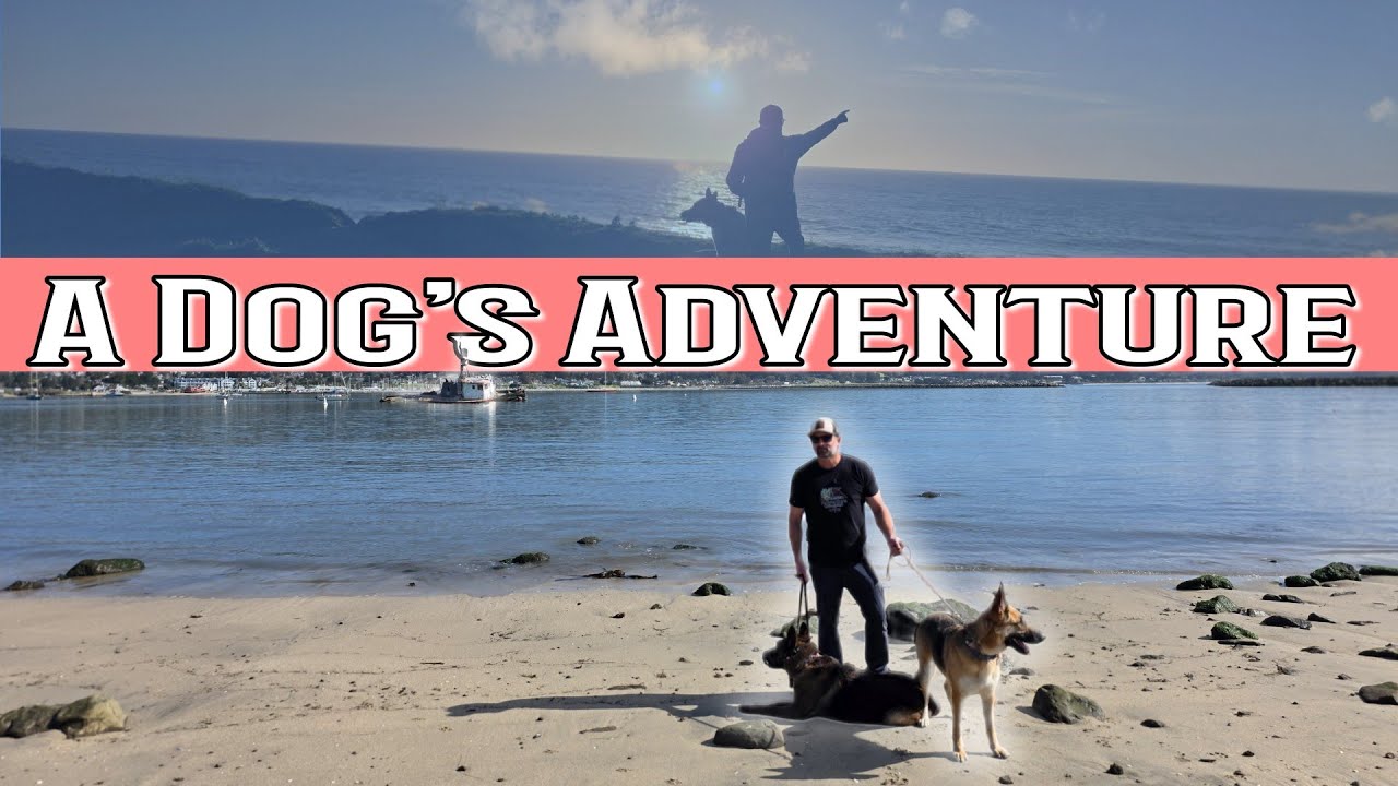 Half Moon Bay, CA| Things to do with dogs plus camping - YouTube