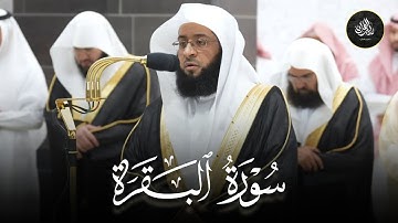 فجريّة جميلة تلاوة فاق الإبداع والخشوع ما تيسر من سورة البقرة للشيخ بدر التركي | 30-3-1446 هـ