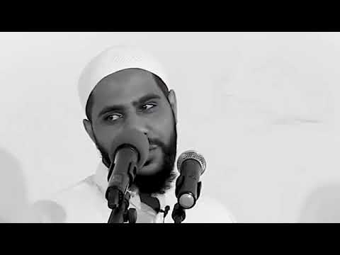 سنأتي إليك نشد الرحال ويعلوا الأذان أذان بلال