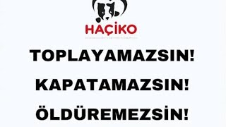 Hayvanlara Karşı Sevgi Ve Saygılı Olun Haçi̇koısahipsizdeğildir