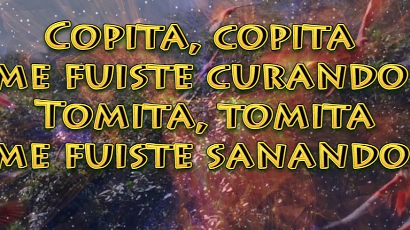 Yagesito Bendito- Diego Paz  (Videolirycs)