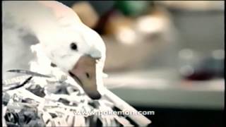 Pokemon Gold & Silver Game Boy Color Video Game System TV Commercial