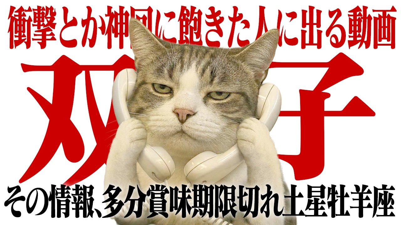 【3年保存版】来たる！2026年土星牡羊座入りふたご座｜海王星と土星の強い波を味方につける、眠れる深堀り解説