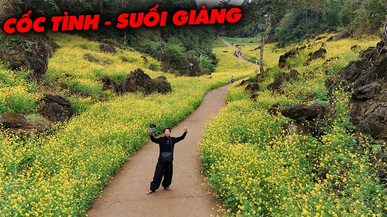 Новогодняя поездка в Хот-Спрингс и регистрация на невероятно красивой Дороге Цветов Рапса.