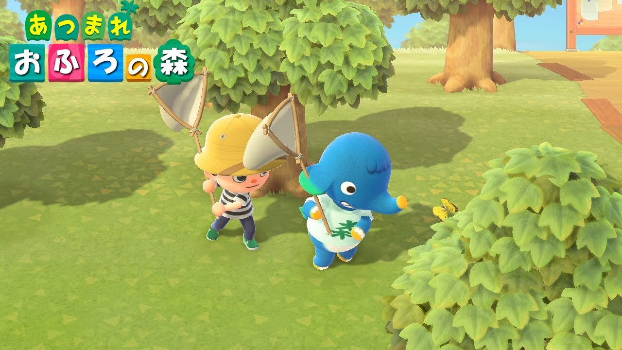 エックスエル君！それ私の蝶々！」【あつまれどうぶつの森】 - YouTube