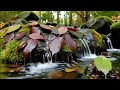 Autumn River Flow The Healing Harmony Meditation Music Therapy for Anxiety, Relaxation &amp; Inner Peace