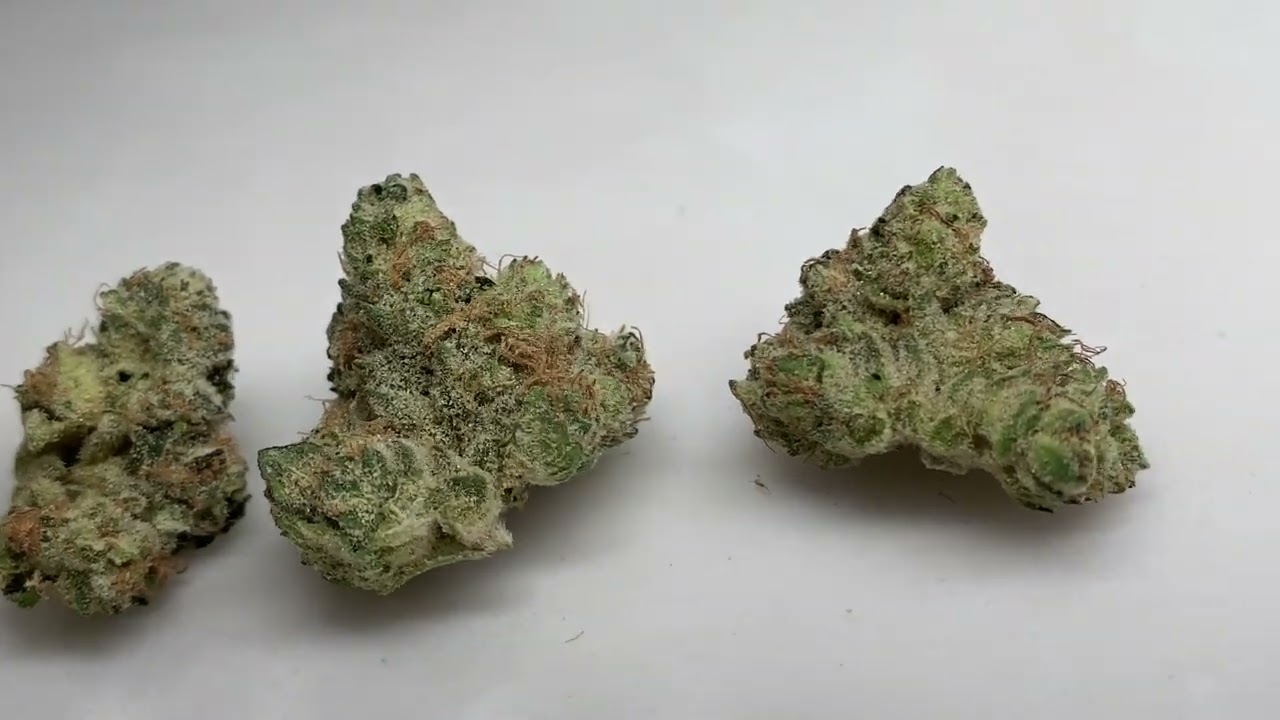 Revolution Danny Boy OG Review