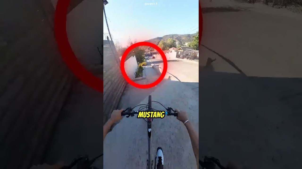 Original Title & Thumbnail